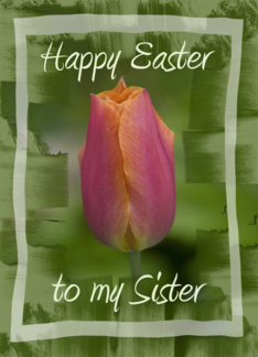 Happy Easter to My...