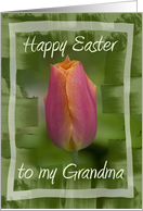 Happy Easter to My Grandma - Pink Tulip Flower card