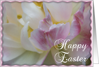 Happy Easter - Fancy Pink and White Tulip card