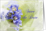 Save the Date - Little Purple Flowers card