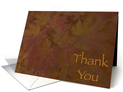 Thank You Colored Maple Leaves card (516370)