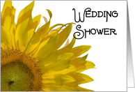 Wedding Shower...