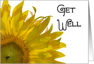 Get Well Yellow Sunflower card