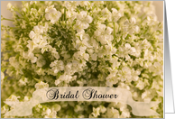 Bridal Shower Invitation White Baby’s Breath card