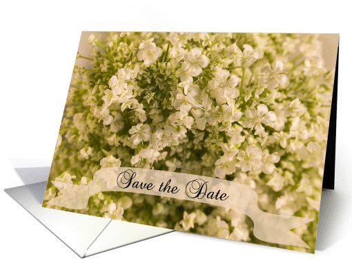Wedding Save the Date Announcement White Baby's Breath card (583862)
