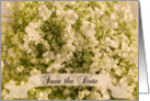 Wedding Save the Date Announcement White Baby’s Breath card