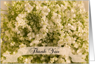 Thank You Note White Baby’s Breath card