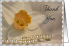 Thank You Note White Daffodil and Pearls card