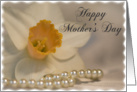 Happy Mother’s Day White Daffodil and Pearls card