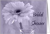 Bridal Shower...