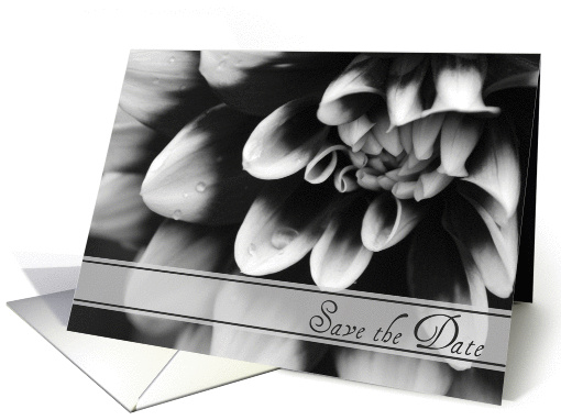 Wedding Save the Date Announcement Black and White Dahlia card