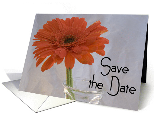 Wedding Save the Date Announcement Orange Gerbera Daisy card (584626)