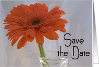 Wedding Save the Date Announcement Orange Gerbera Daisy card