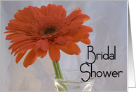 Bridal Shower...