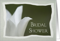 Bridal Shower Invitation White Spring Tulip card