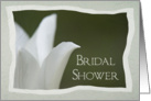 Bridal Shower Invitation White Spring Tulip card