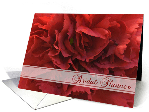 Bridal Shower Invitation Red Floral card (588152)