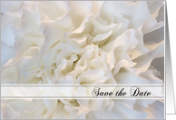 Wedding Save the Date Announcement White Floral card