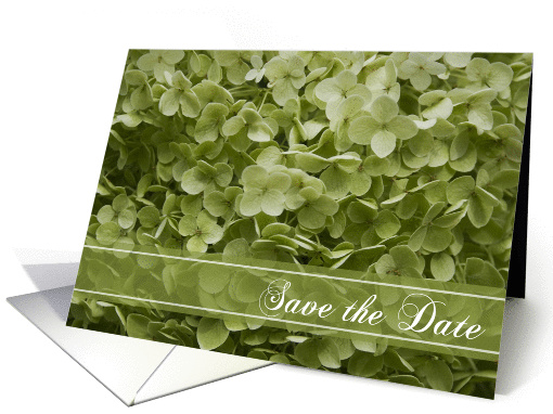 Wedding Save the Date Annabelle Hydrangea Green card (597348)