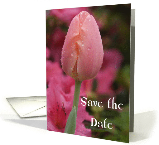 Wedding Save the Date Pink Tulip card (597349)