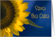 Wedding Save the Date Sunflower on Blue card