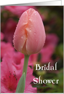 Bridal Shower Invitation Pink Tulip card