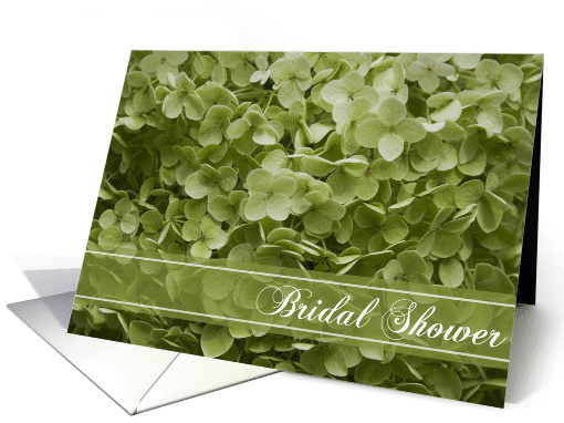 Bridal Shower Invitation Annabelle Hydrangea Green card (597359)