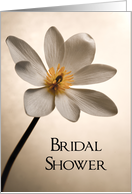 Elegant White Wildflower Bridal Shower Invitation card