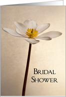 Elegant White Wildflower Bridal Shower Invitation card