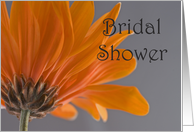 Orange Daisy Bridal Shower Invitation card