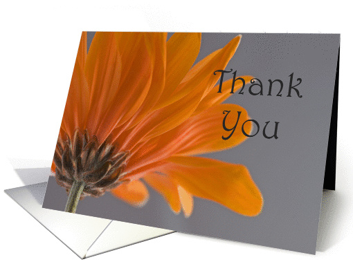 Orange Daisy Thank You Note card (805308)