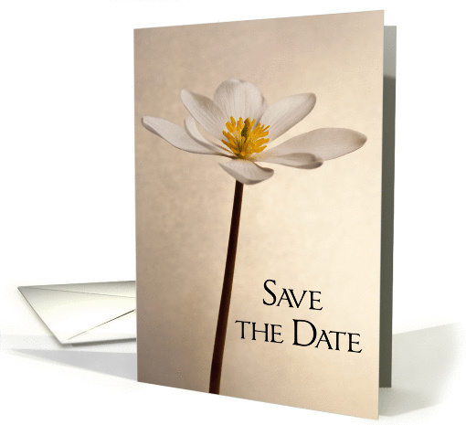 Elegant White Wildflower Wedding Save the Date Announcement card