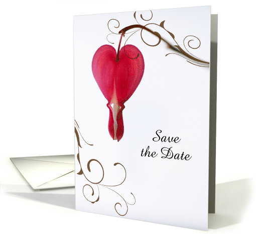 Wedding Save the Date Announcement Red Bleeding Hearts card (903194)