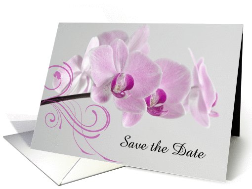 Wedding Save the Date Announcement Pink Orchids on the Stem card
