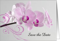 Wedding Save the Date Announcement Pink Orchids on the Stem card