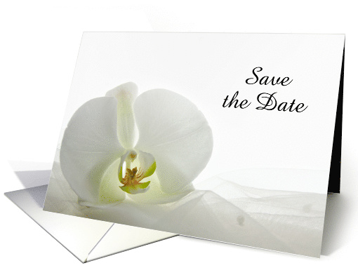 Wedding Save the Date Announcement White Orchid card (992123)