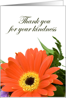 Thank you for your kindness card