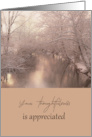 Thank You for Thoughtfulness Snow Trees Over Creek Cloudy Day card