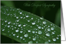 Raindrops on a Dark Green Blade of Grass Sympathy card