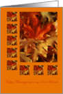 Thanksgiving Friends Colorful Autumn Leaves card