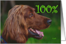 St. Patrick’s Day Irish Setter card