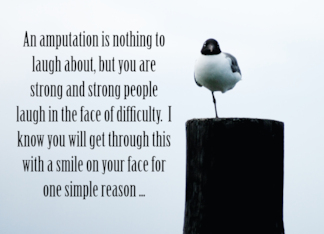 Encouragement Amputation Seagull