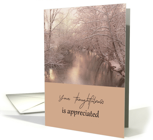 Thank You for Thoughtfulness Snow Trees Over Creek Cloudy Day card