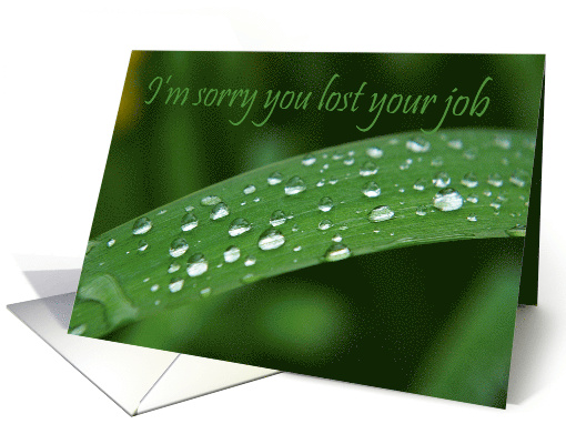 Encouragement After Job Loss Water Droplets on Blade of Grass card