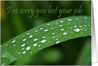 Encouragement After Job Loss Water Droplets on Blade of Grass card