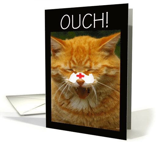 Get Well Soon Broken Nose Yellow Cat card (260838)