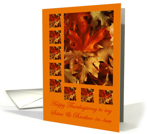 Thanksgiving Sister and Brother-in-Law Autumn Leaves card (289178)