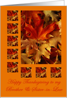 Thanksgiving Brother and Sister-in-Law Autumn Leaves card