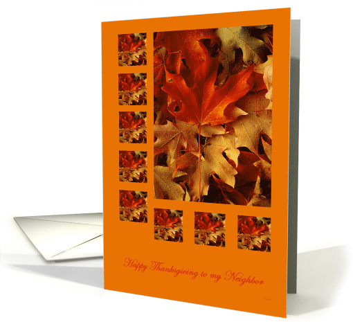 Thanksgiving Neighbor Colorful Autumn Leaves card (289184)