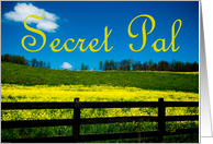 Secret Pal Birthday: landscape card